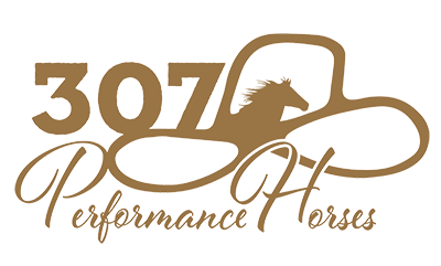 307 Performance Horses